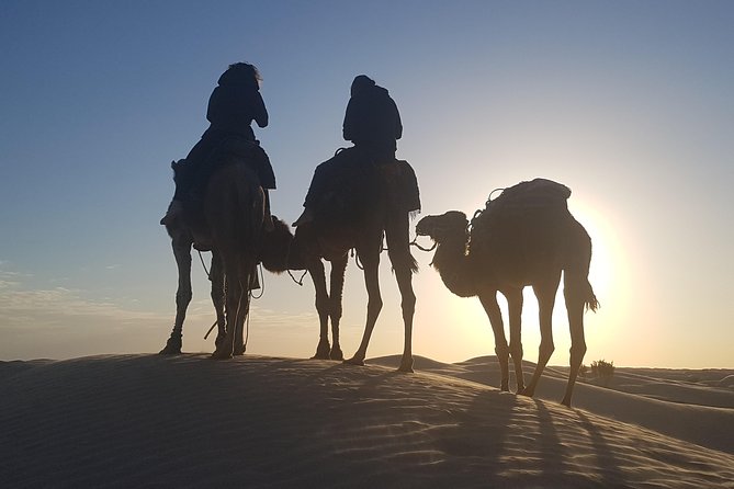 3-Day Tunisia Sahara Desert Camel Trek from Douz - Guides and Camp Life: Why the People Part Matters