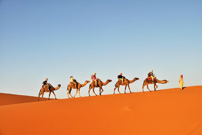 3-Day Tunisia Sahara Desert Camel Trek from Douz - Day 2 Sunrise Ride to Sunset Dunes: Bedouin Lunch and That Big Sky Moment