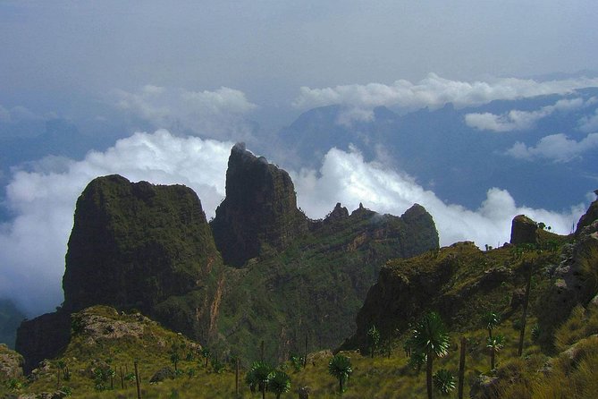 3 Days Bale Mountains Trekking - Getting there from Addis Ababa: the 9:00 start and flight-based pacing