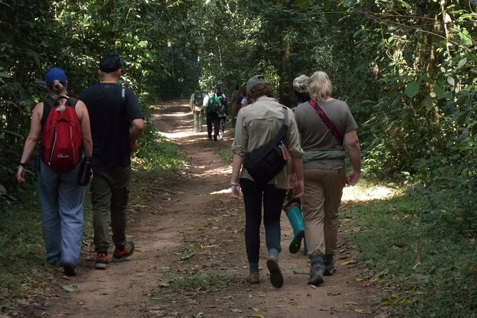 3 Days Bwindi Gorilla Trekking tour - From Entebbe to Bwindi: why the drive is part of the deal