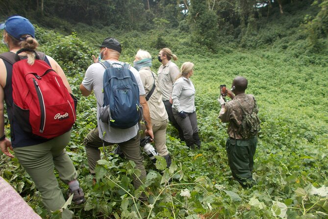 3 Days Bwindi Gorilla Trekking tour - Lake Bunyonyi on Day 2: recovery time with real scenery
