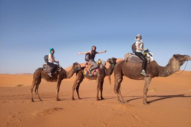 3 Days Desert Tour From Marrakech To Merzouga & Camel Trek - Should You Book This Tour?