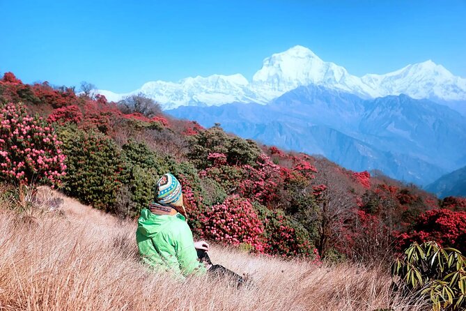 3 Days Ghorepani and Poonhill Private Trek from Pokhara - Who this trek fits best (and who might want something else)