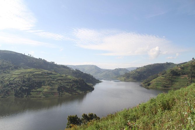 3 Days Gorilla trekking tour - Price and logistics: what $2,300 really covers (and what to verify)