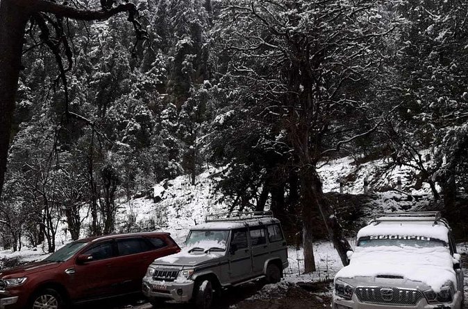 3 Days Kalinchowk Trekking from Kathmandu - Day 2 to Kalinchowk: The Temple, the Snow Views, and the Main Payoff