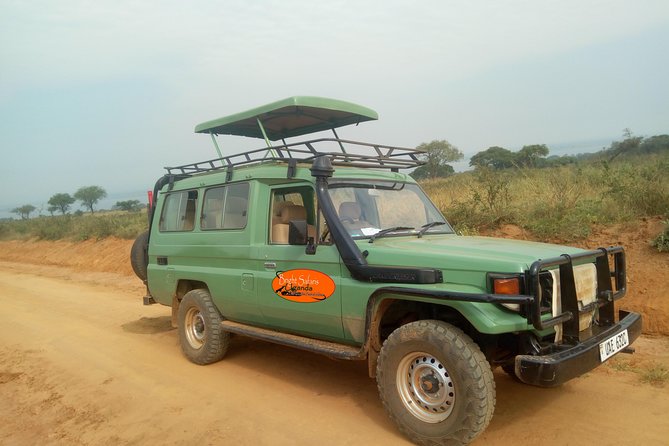 3 Days Lake Bunyonyi and Gorilla Trekking Tour in Uganda - Entebbe and Kampala on Day 3: timing, lunch stops, and the Equator option