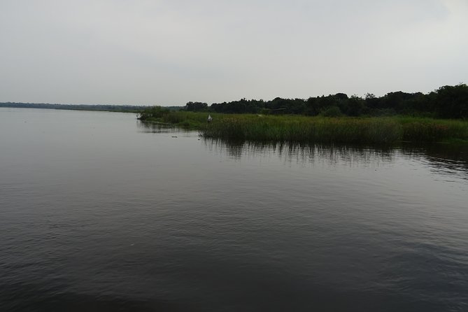 3 Days Lake Bunyonyi and Gorilla Trekking Tour in Uganda - Lake Bunyonyi Overland Camp: birds, islands, and cultural stops