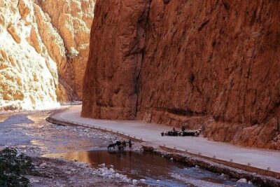 3 Days Marrakech Desert Tour, Luxury Camp, Camel Trekking Tour - The Stops That Add Meaning: Argan Oil and Rose Cosmetics