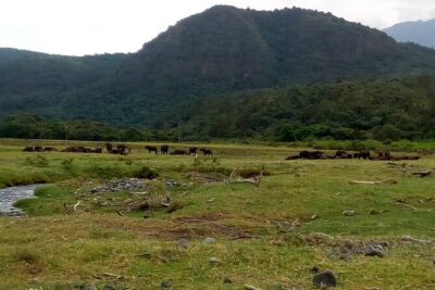 3 Days Mount Meru Trek - Miriakamba Hut to Saddle Hut and Little Meru: a short day with steep moments