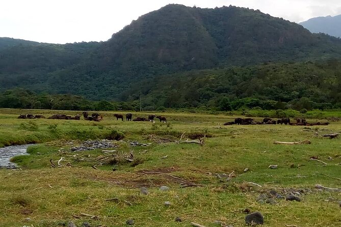 3 Days Mount Meru Trek - Miriakamba Hut to Saddle Hut and Little Meru: a short day with steep moments