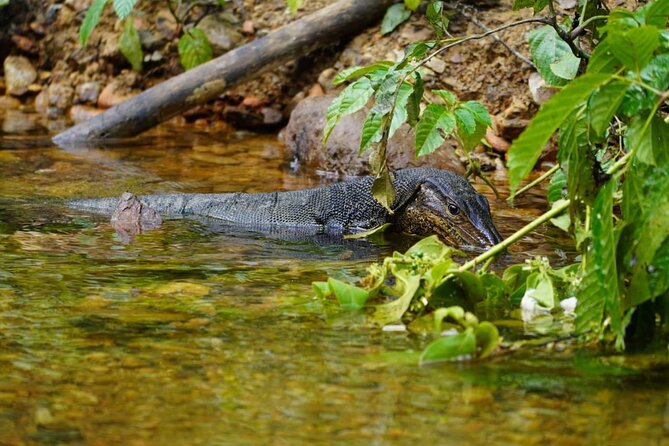 3 Days Orangutan Sumatra Jungle Trekking with Rafting - Sleeping in Gunung Leuser: camps near river or waterfall