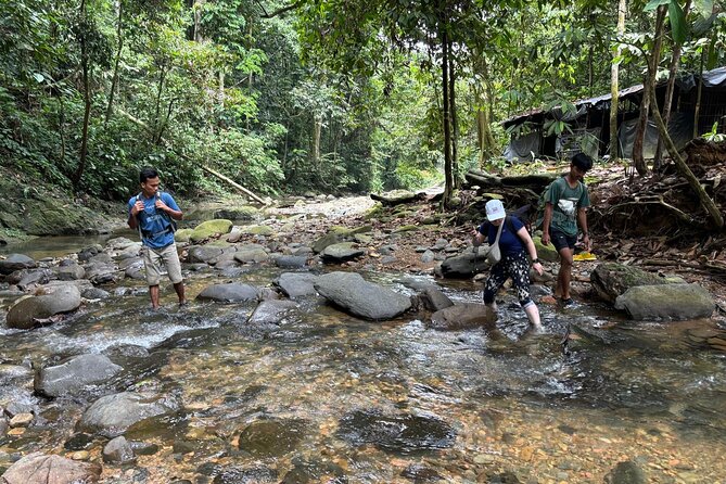 3 Days Orangutan Sumatra Jungle Trekking with Rafting - Wildlife watching that isn’t just luck