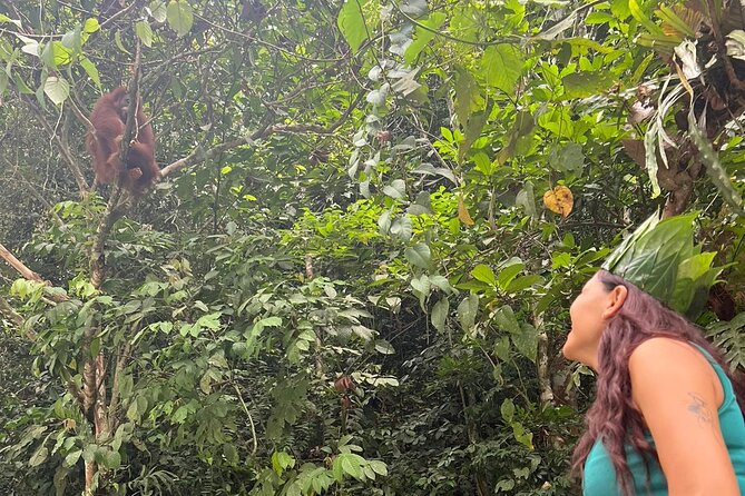 3 Days Orangutan Sumatra Jungle Trekking with Rafting - Getting started in Medan area: 8:30 am at Bukit Lawang