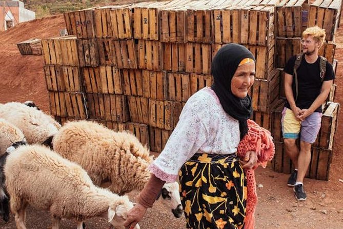 3 Days: Private Desert Tour from Marrakech to Merzouga via Atlas & Camel Trek - Rose Valley and Dades Valley: where softness meets stone