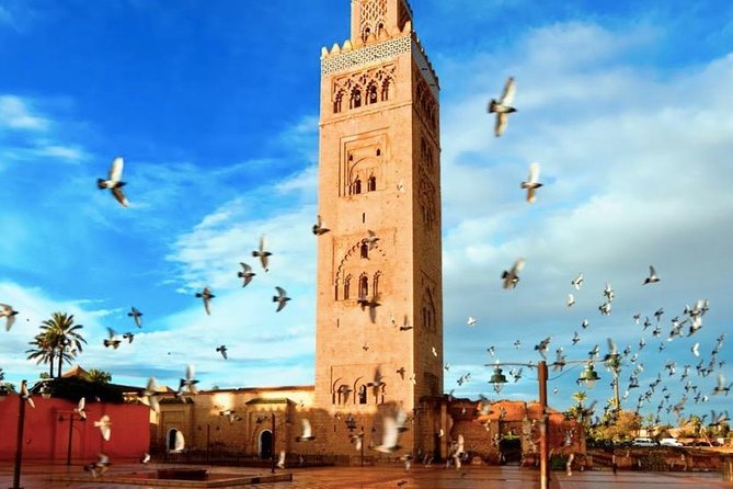 3 Days: Private Desert Tour from Marrakech to Merzouga via Atlas & Camel Trek - Todra Gorges to Erfoud: cliff walls, fossil lore, and palm shade