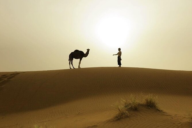 3-Days Private Sahara Desert Trek - The 8:30 am Start And What You’re Really Signing Up For