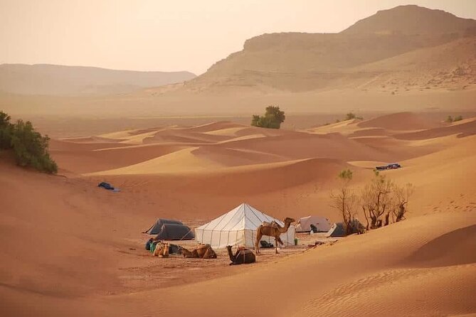 3-Days Private Sahara Desert Trek - Day 2: Camel Trek Toward Erg Dwib, Sunset Tea, And Tajine Under Stars