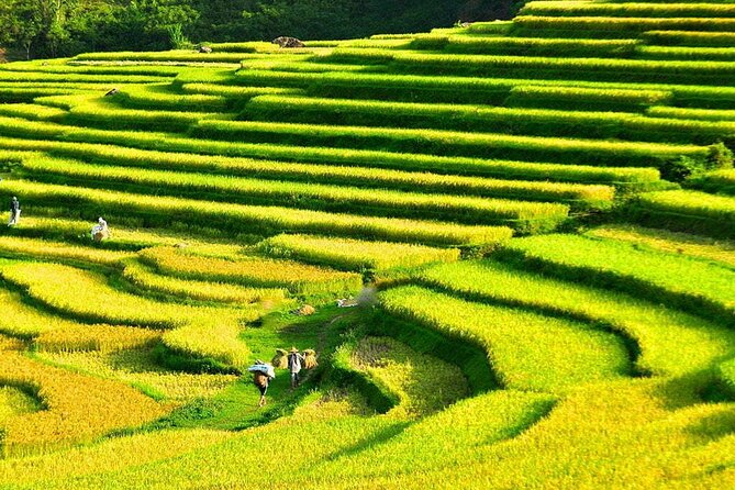3 Days Pu Luong Off-road Trekking Best for Mountain Lovers - Key highlights you’ll care about