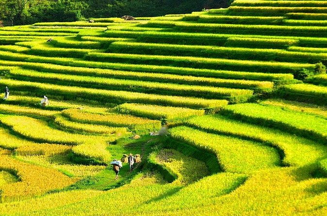 3 Days Pu Luong Off-road Trekking Best for Mountain Lovers - Day 2: S-shaped paddy paths, Chom Lan weaving, and swimming at Hieu Waterfall