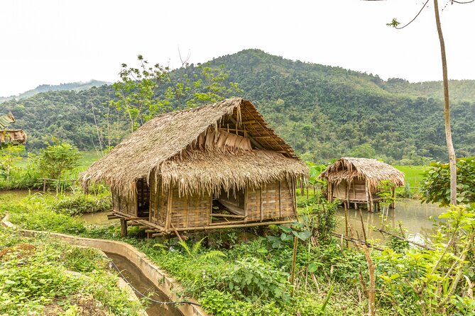3 Days Pu Luong Off-road Trekking Best for Mountain Lovers - Price and logistics: is $217.83 good value for 3 days of off-road trekking?