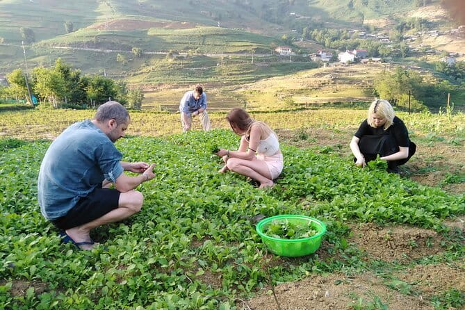 3-Days Sapa Trekking With Local Guide Overnight in Tavan Village - Getting From Hanoi To Sapa: The 6:00 departure reality check