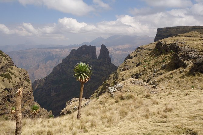 3 Days Simien Mountains Trekking - Day 2: Jinbar waterfall to Geech and the lobelia-and-sunset rhythm
