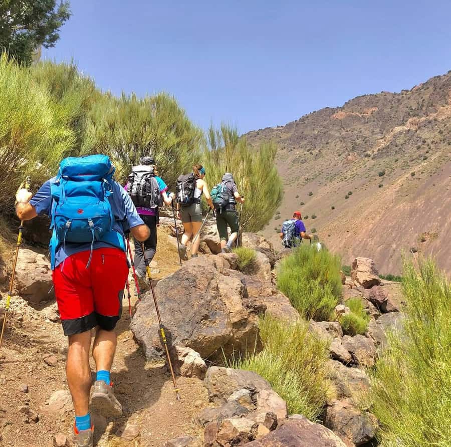 3 Days Trek Atlas Mountains Berber Villages from Marrakech - Day 2: Tizi Mzik to Tamsoult Waterfalls in Toubkal National Park
