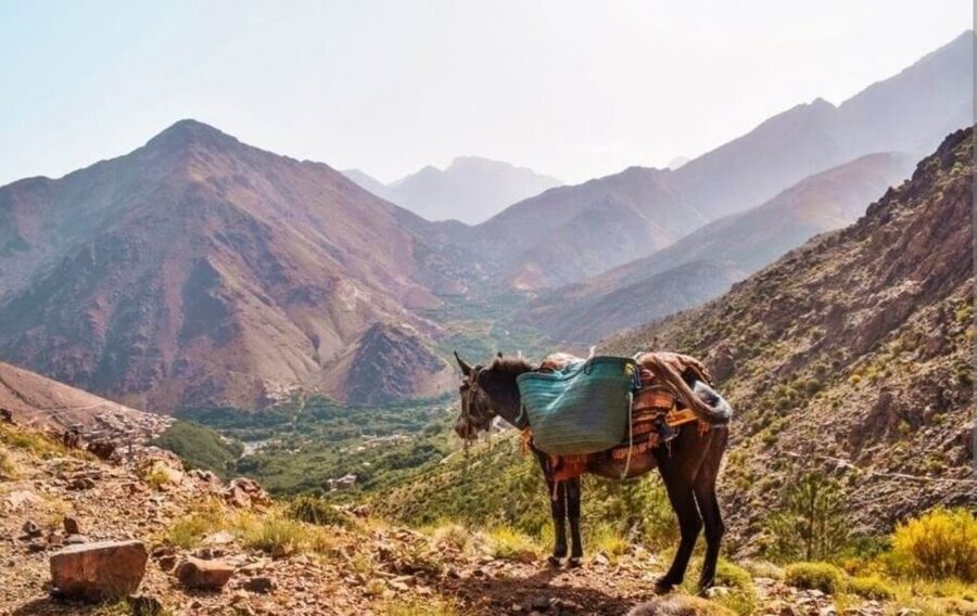 3 Days Trek Atlas Mountains Berber Villages from Marrakech - Guides and Group Size: Up to 15, but the Real Range Is Bigger