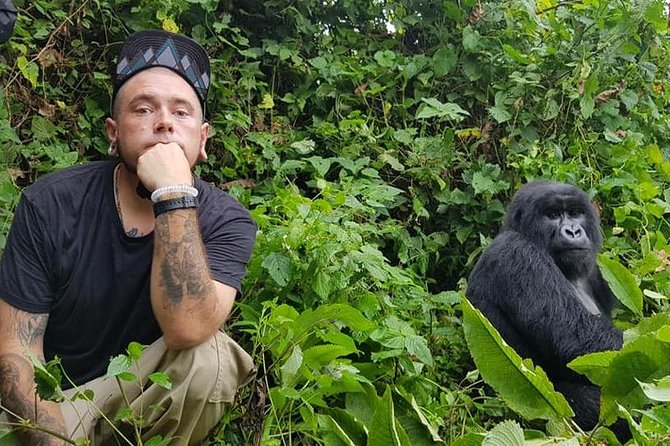 3 Days Uganda Gorilla Trekking Safari - Kigali handoff and the Rwanda-to-Uganda drive through Katuna