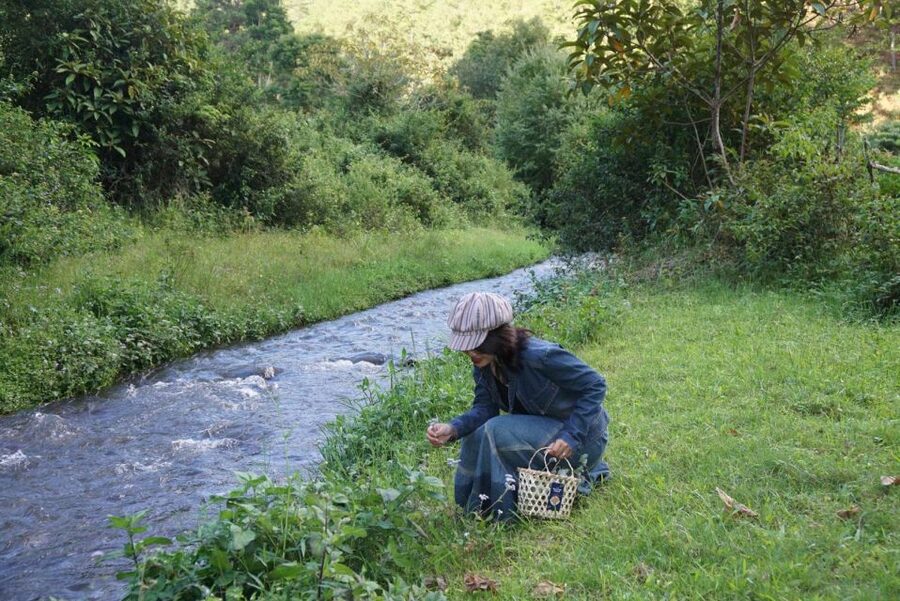 3-Hours Trekking Tour to Hidden Waterfall and Sturgeon Farm - Key Things That Make This Trek Special