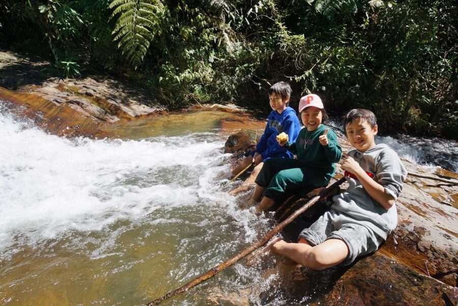 3-Hours Trekking Tour to Hidden Waterfall and Sturgeon Farm - Coffee Plantation and Roastery Tour: Farm-to-Cup Without the Detour