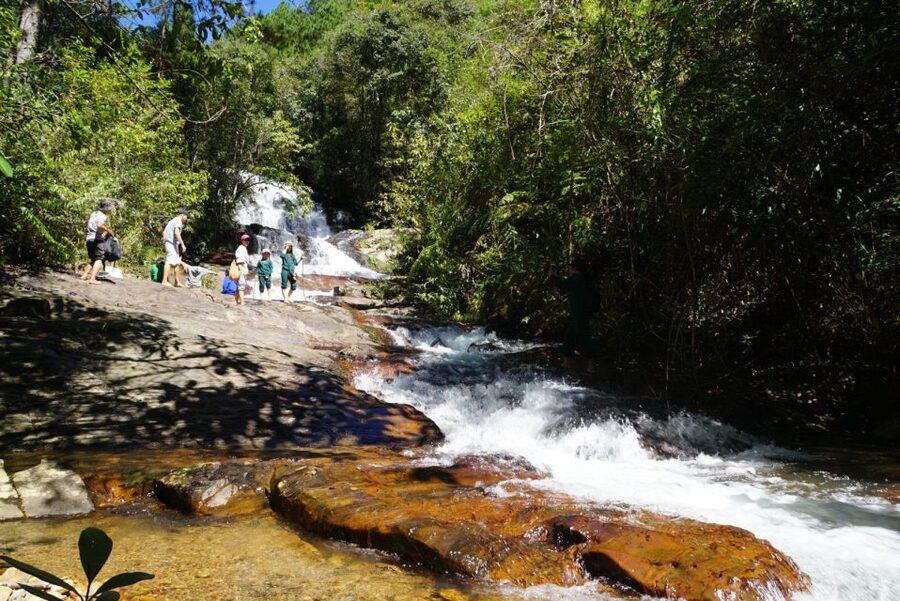 3-Hours Trekking Tour to Hidden Waterfall and Sturgeon Farm - 30 Minutes Into the Forest: The Trek Portion That Sets the Tone