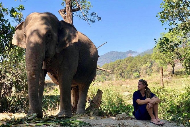 3-in-1: Doi Inthanon Tour, Elephant Sanctuary, and Trekking Trail - Van time, timing, and motion sickness reality checks