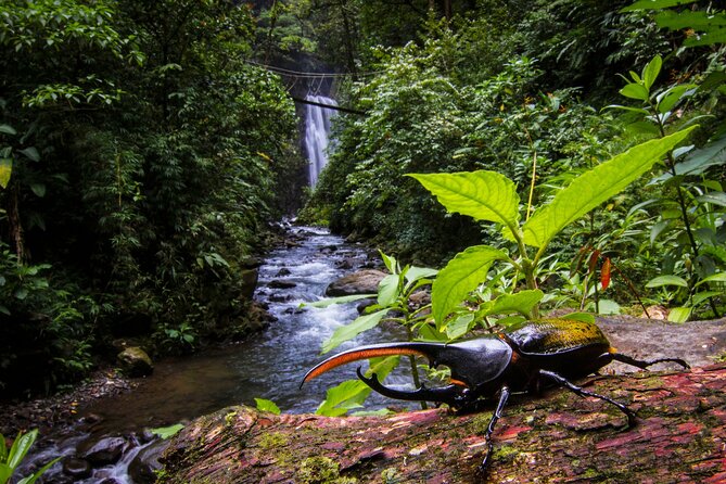 3-in-1 Monteverde Cloud Forest Waterfalls, Wild Trekking and Horseback Riding - A 5-Hour Monteverde Day That Actually Uses Your Energy