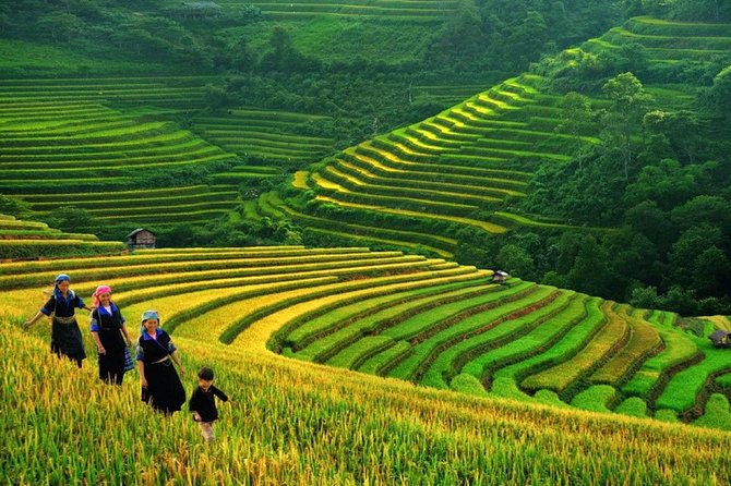 3-Night Sapa Trek and Homestay with Round Trip Transfer from Hanoi - Overnight Train From Hanoi: The 8:00 pm Start and Soft-Sleeper Reality
