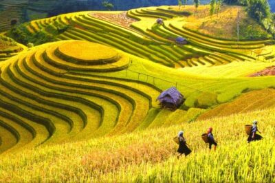 3-Night Sapa Trek and Homestay with Round Trip Transfer from Hanoi - Day 1: Y Linh Ho and the Overnight Train to Lao Cai