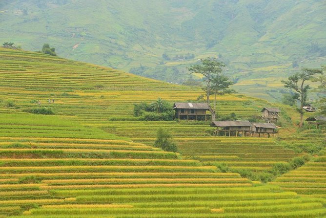 3-Night Sapa Trek and Homestay with Round Trip Transfer from Hanoi - Ta Van Homestay With the Zay Hill Tribe: One Night to Slow Down