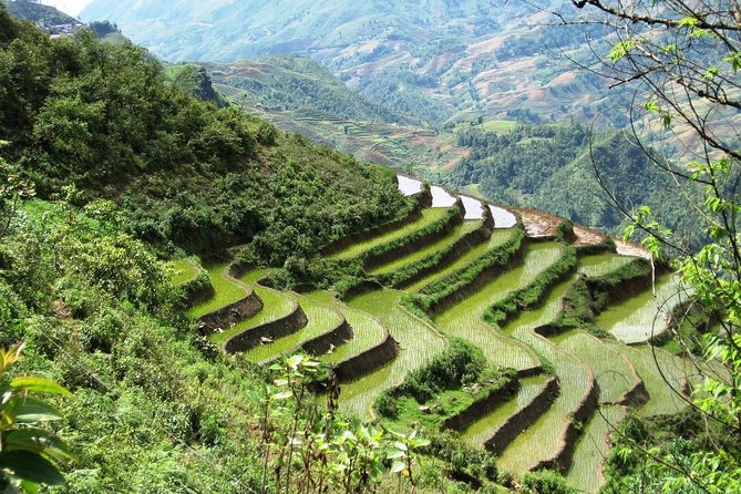 3-Night Sapa Trekking Tour from Hanoi - Overnight Train to Sapa: The Secret to Getting More Mountain Time