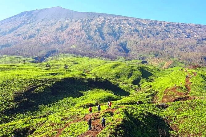 3D 2N Mount Rinjani Trekking Tour To Summit And Lake - Price and value: what $235 actually covers