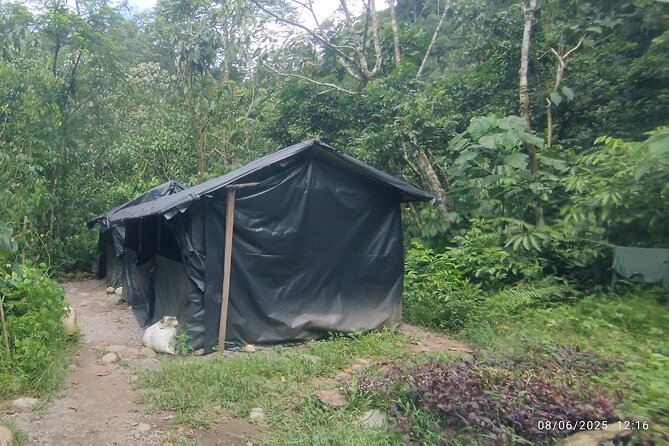 3D2N Jungle Trek | 2 Night accommodation | Pick up and drop off - Day 3: Deeper Forest Trekking and the Pace Check