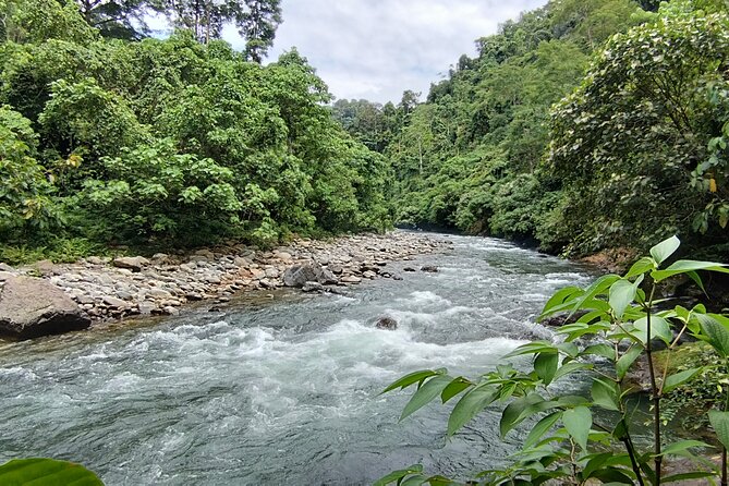 3D2N Jungle Trek | 2 Night accommodation | Pick up and drop off - Day 4 Early Morning Wildlife Time and the River Return