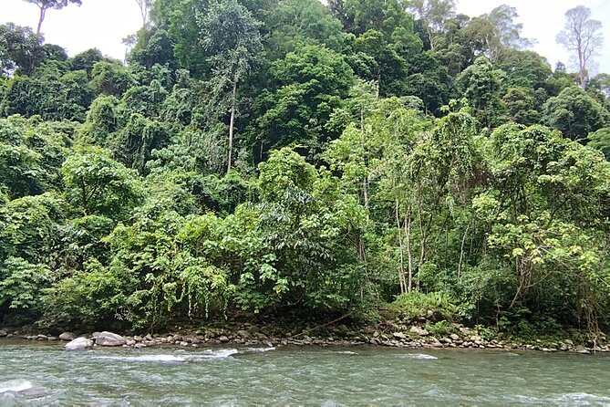 3D2N Jungle Trek | 2 Night accommodation | Pick up and drop off - What You Actually Get for the Money (Why It Adds Up)