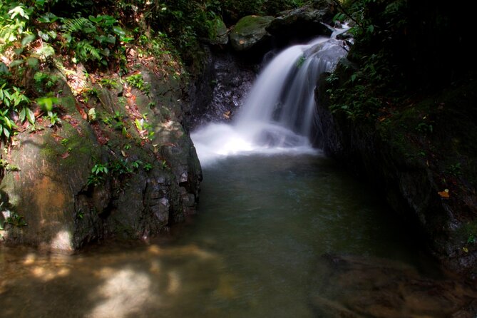 3D2N Jungle Trek | 2 Night accommodation | Pick up and drop off - Price and Logistics: Private Trek, Real Team, Real Expectations