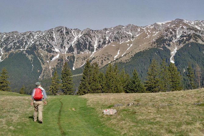 4-Day Carpathian Trek: Bucegi Mountains and Piatra Craiului National Park - Two Mountain Parks, One Four-Day Rhythm