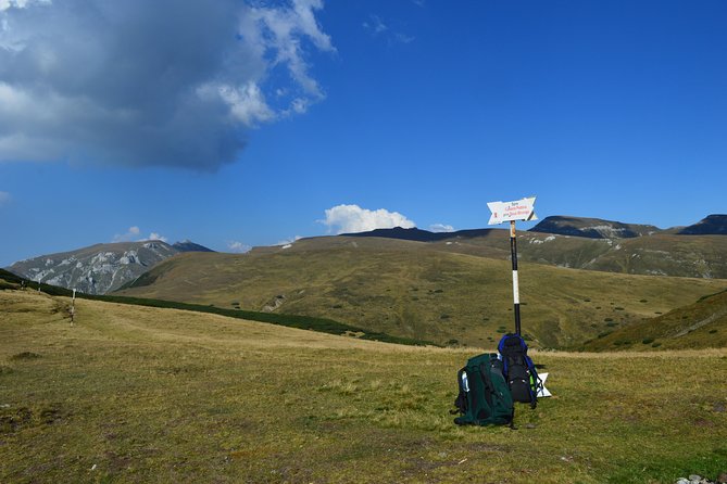 4-Day Carpathian Trek: Bucegi Mountains and Piatra Craiului National Park - Price and value: what $1,070.46 buys you in Romania