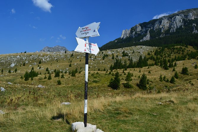 4-Day Carpathian Trek: Bucegi Mountains and Piatra Craiului National Park - Who this trek suits best