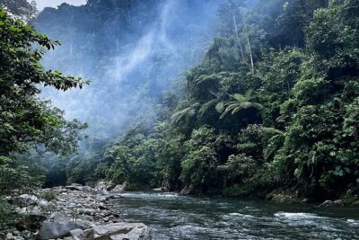 4 Day Jungle Adventure including 2 day trek - Day 1 in Bukit Lawang: Smooth Pickup, Then Jungle Prep