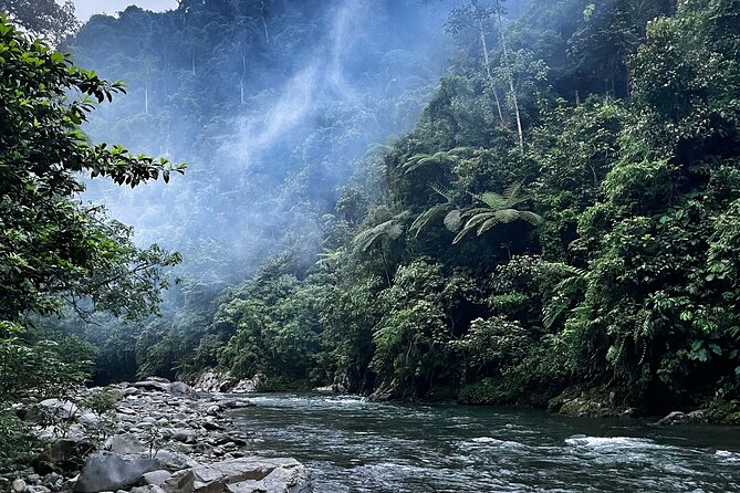 4 Day Jungle Adventure including 2 day trek - Day 1 in Bukit Lawang: Smooth Pickup, Then Jungle Prep
