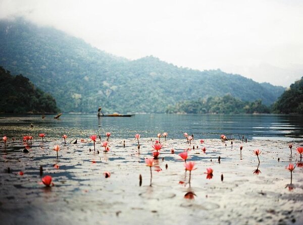 4-Day Jungle Trekking in Ba Be National Park - Ba Be National Park: The Lake-and-Mountain Mix That Changes the Pace