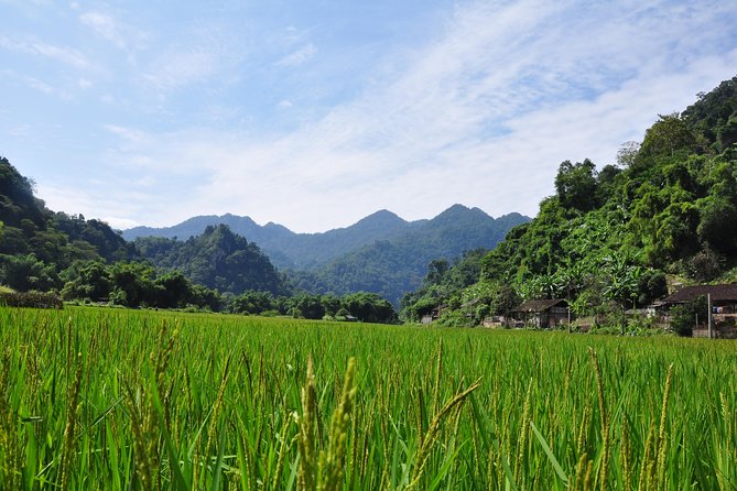 4-Day Jungle Trekking in Ba Be National Park - Price and Value: Is $679 Fair for This Much Moving?